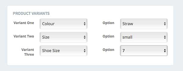 variant options modal